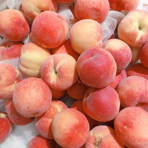 n0788爱乃娜美最经典三首歌
