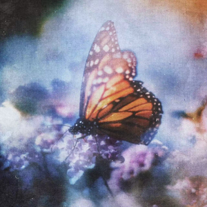 n0788爱乃娜美最经典三首歌
