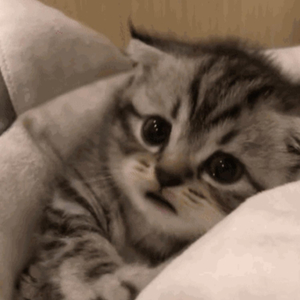 n0788爱乃娜美最经典三首歌
